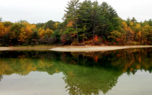 Save White Pond