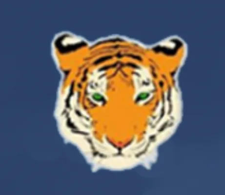 Keep the Tiger Spirit  Alive