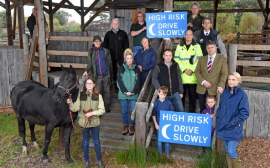 #add3minutes to reduce New Forest animal road deaths
