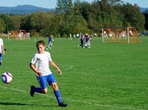 YES! to Sports Fields at Sakai Property Park