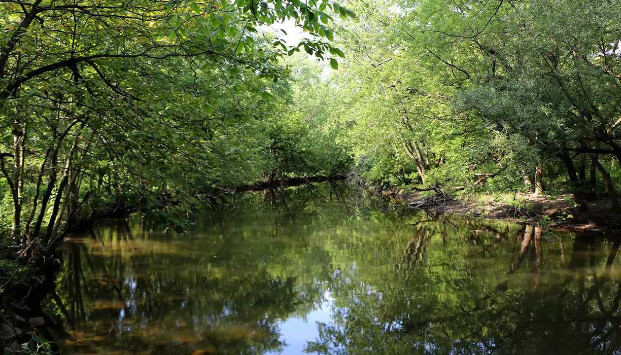 Save Town Land on Chestnut Ridge Road