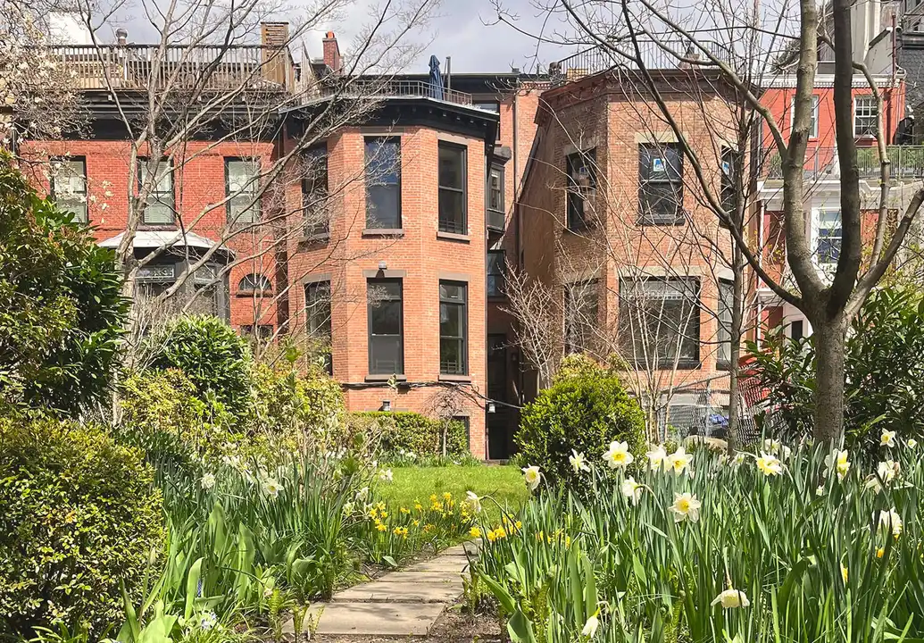 Protect the backyards of 15th Street