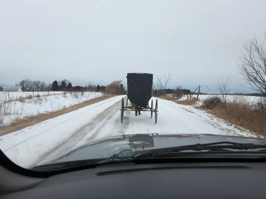Demand flashing amber lights and proper tabs,ID cards, plates on horse drawn vehicles