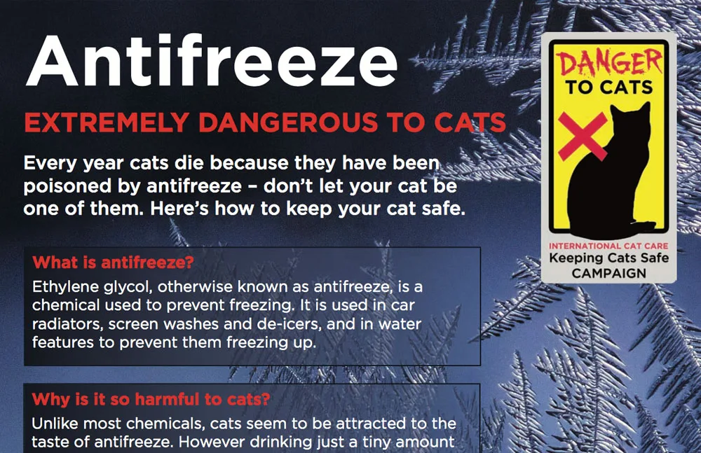 Antifreeze poisoning