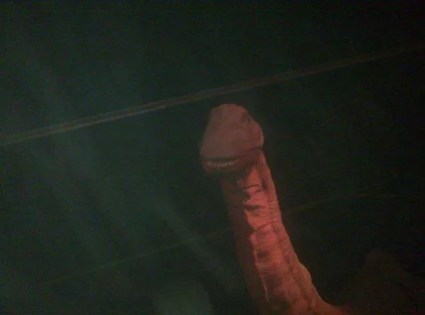 Get Raize his Dinosaur back!