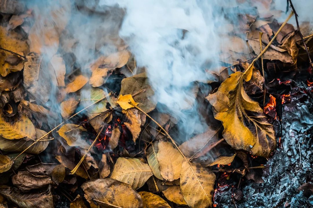  The Banning of Open Burning in Independence Township. MI