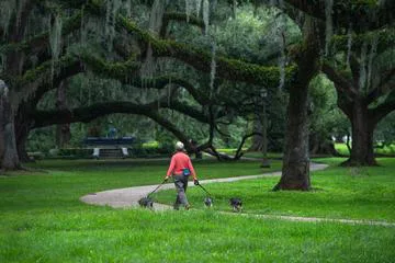 Yes to Poo Free Parks!
