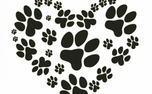 City of Owen Sound Dog Limit too Low!