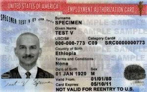 Employers Need Sensible Immigration Reform NOW
