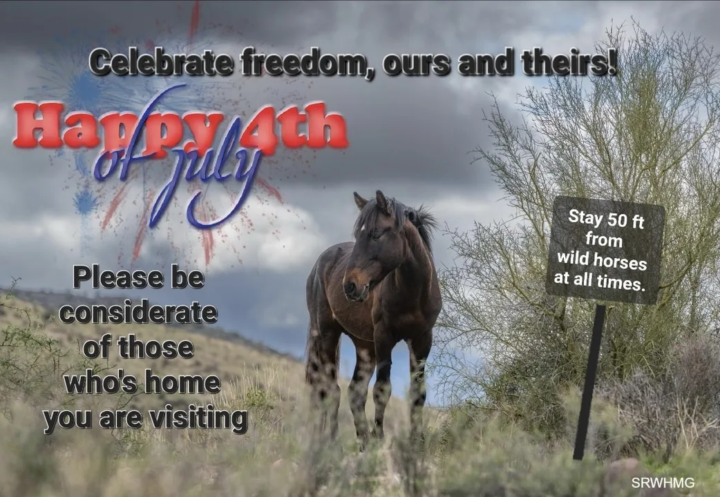 END HORSE SLAUGHTER