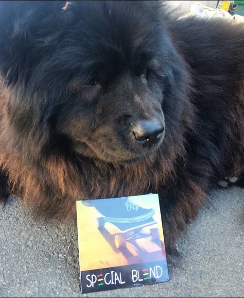 Save Farley