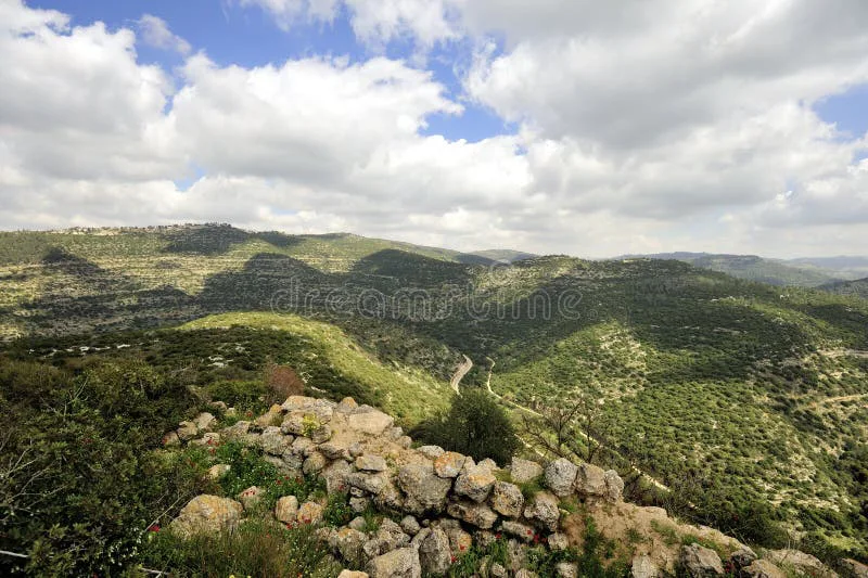 Leave the legendary cheese maker on the Jerusalem Mountains