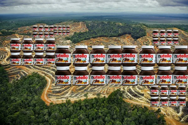 Stop eating Nutella until it is palm oil free!