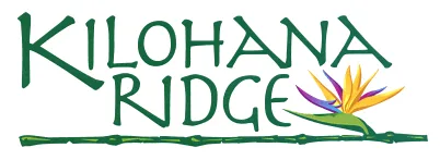 Petition for the Appointment of Brian Gibson to the Kilohana Ridge HOA Board