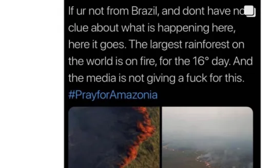 Help the Amazon Rainforest❗️