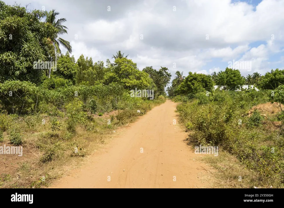 Undeveloped roads, irrigation and water