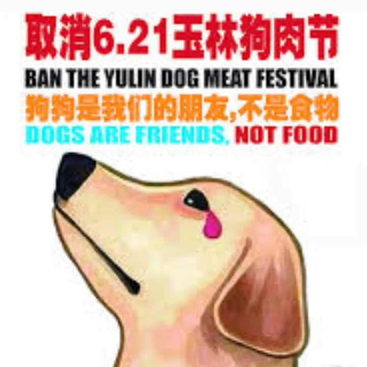 Ban the Chinese Yulin Festival