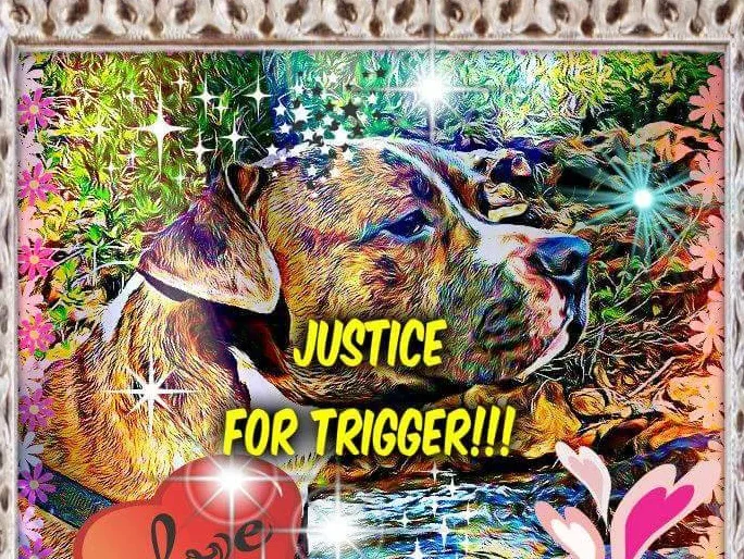 Justice For Trigger