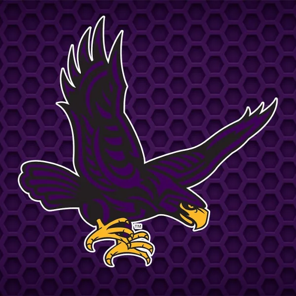Expanding STEM options at Hunter College