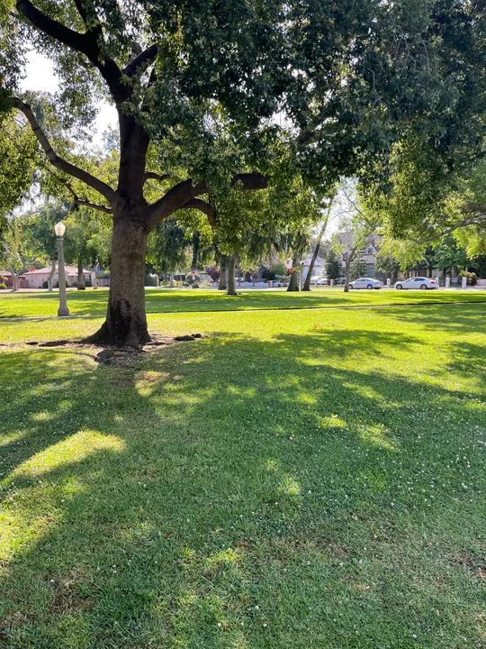 Keep Carlson Park Clean, Green and Serene!