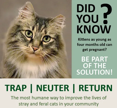 Trap, Neuter and Return Policy for Charles County