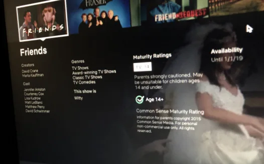 Keep Friends on Netflix!
