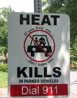 Increase Fine For Risking An Animals Life In MN