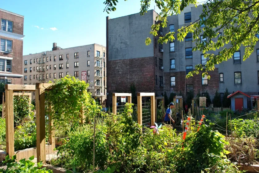 Co-Lab Zoning Change