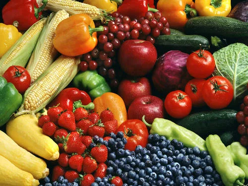 Better Foods for Better Students