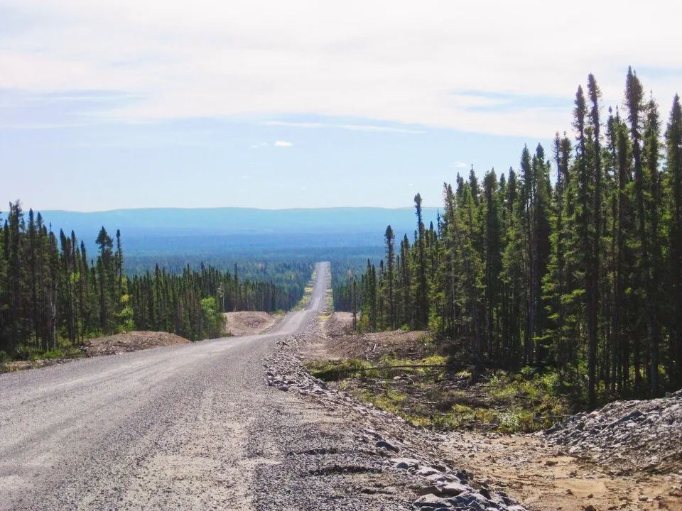 Petition requesting that government commit to paving the entite TLH by 2017