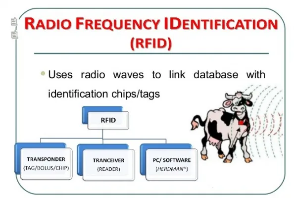 Livestock Management for Food Security System in Nigeria.