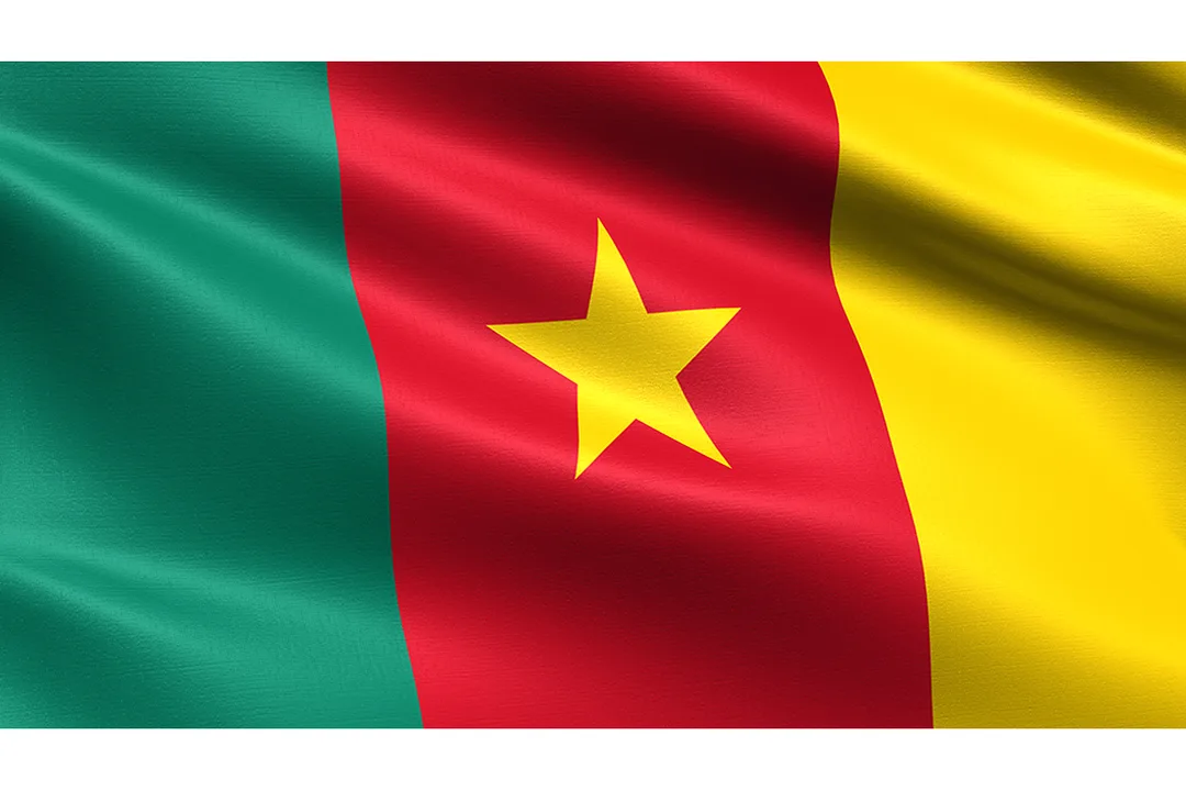 CAMEROONIAN DUAL CITIZENSHIP/DOUBLE NATIONALITÉ AU CAMEROUN