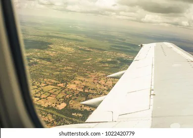 South africans to come home