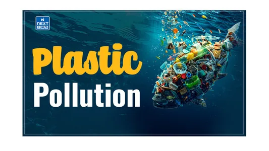Plastic Waste in Our Community
