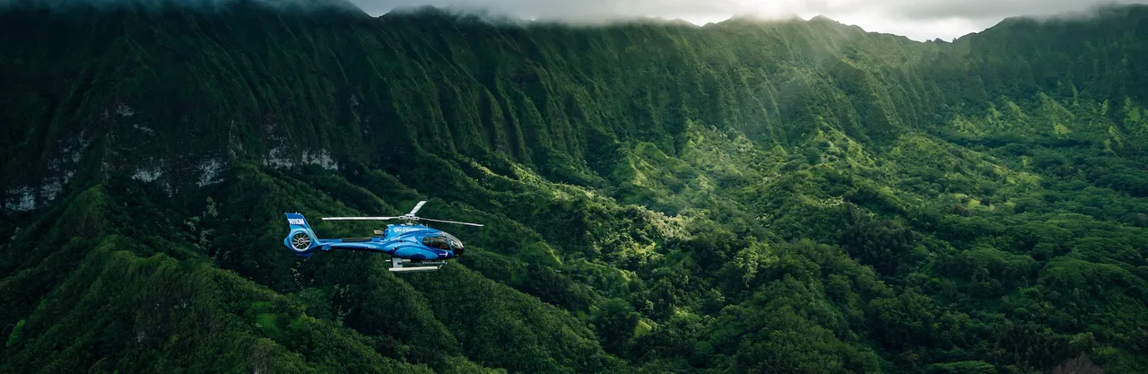 Hawaiian Acres: One day a week free of helicopters & low flying planes 