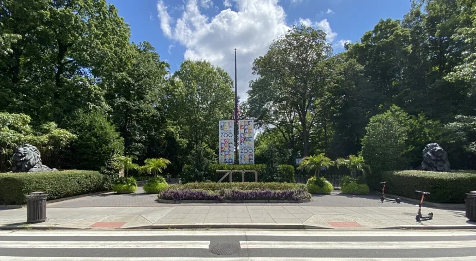 Sanctioned Race at the National Zoo