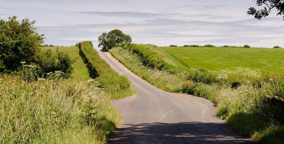 Stop Coates Drove From Being A Road
