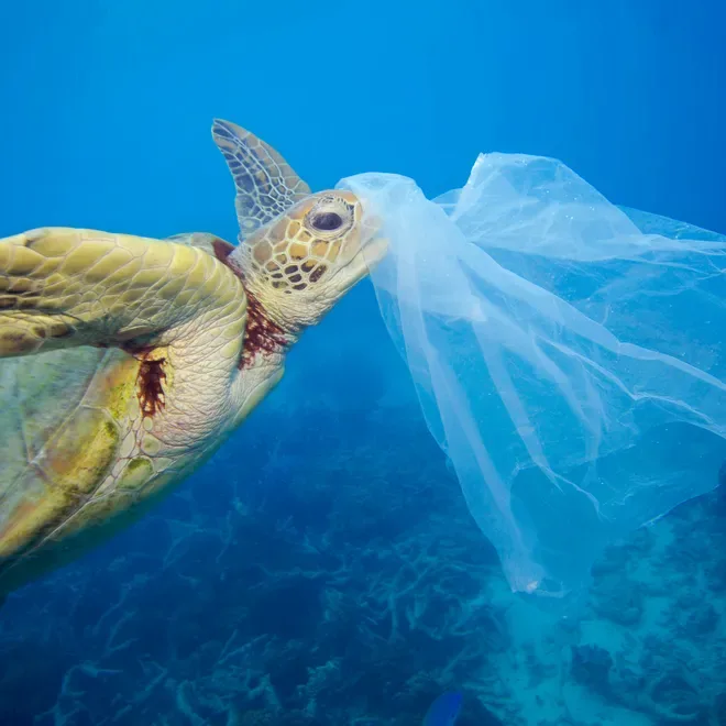 sayNOtoPLASTIC