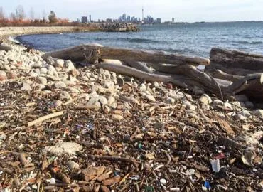 Lake Ontario Cleanup
