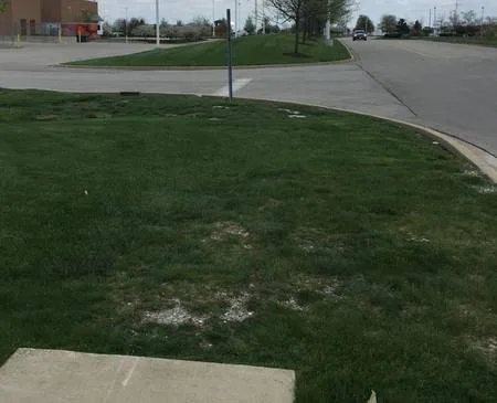 Drexel Ave sidewalk extension