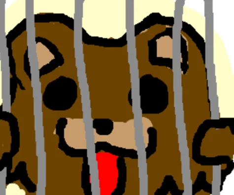 Free the Bad Decision Bear!