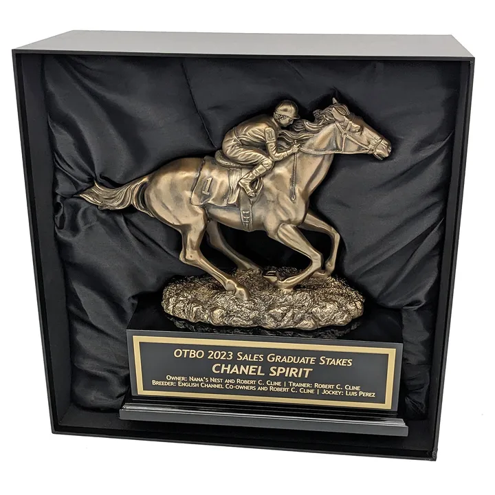 Rachel Alexandra and Zenyatta Both Deserve Horse of the Year