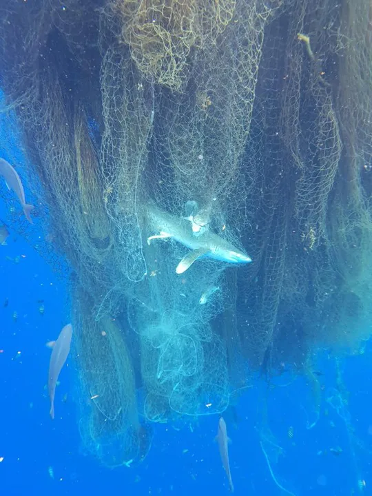End Ghost Nets For Good