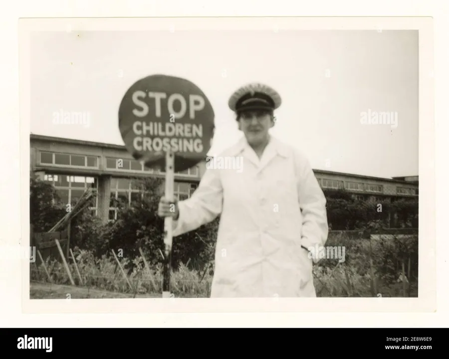 Save the School Crossing