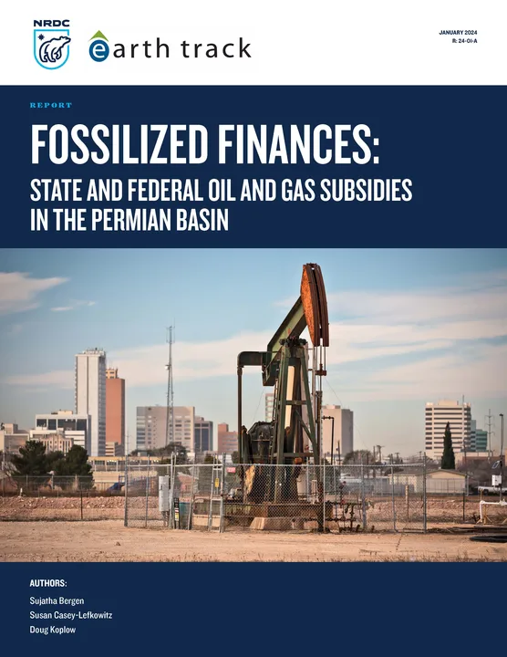 Lower Gas Prices--END THE OIL COMPANY SUBSIDIES!