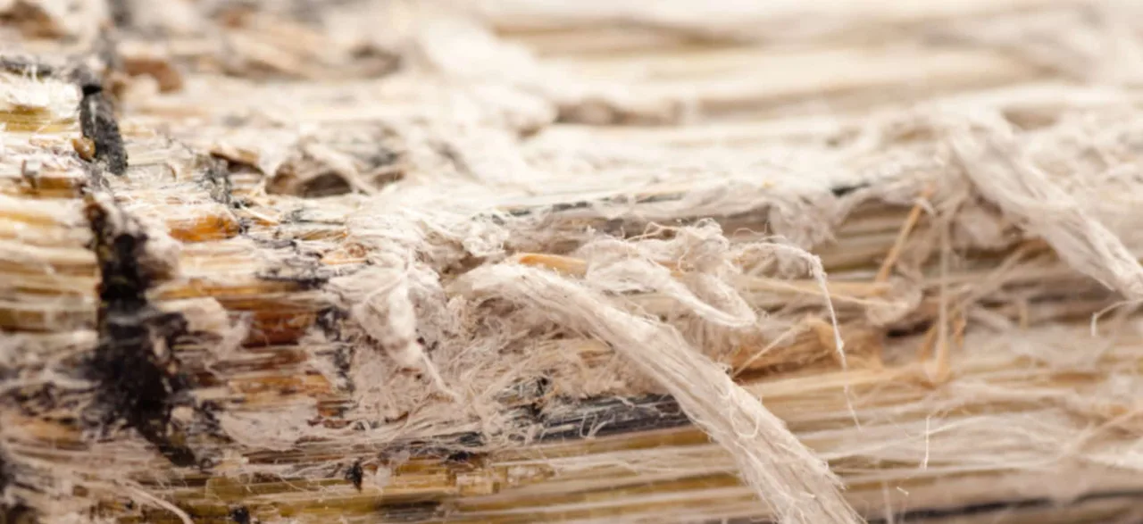 Ban asbestos in Mexico