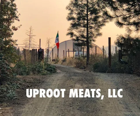 Pigs on a Hill