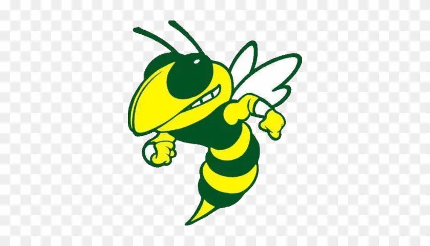 Emmaus Girls Lacrosse