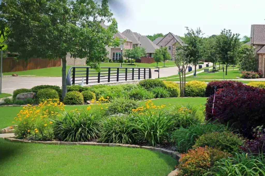 Sand Harbor South Landscaping Reform Petition / 社区废物回退了一份请愿书