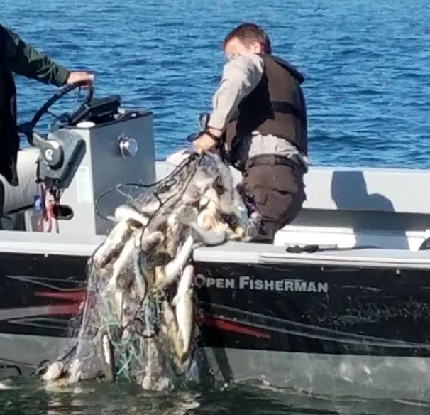 Stop Tribal Netting